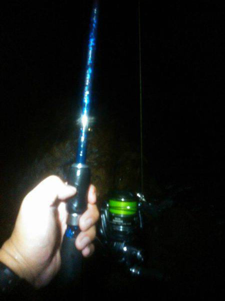 雨の中のエギング